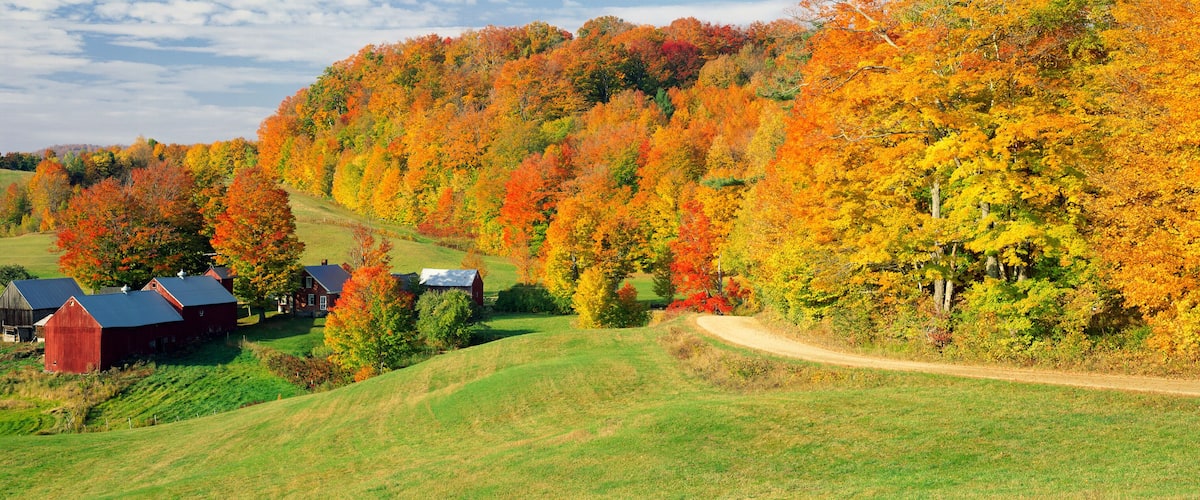 A rural landscape with rolling hills, a winding dirt road, and a cluster of red barns.