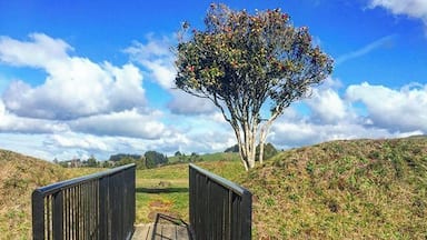 We visited the Alexandra Redoubt today. It is extremely significant in the land wars between the British and Maoris and you can still walk the trench walls. It's really great to visit places like this, you would hardly know it was there unless you had a local to take you like I did!
www.cheskiesgaplife.com