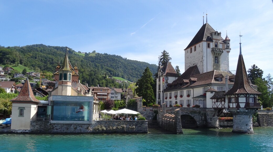 Cruise on lovely Lake Thun ! Oberhofen is worth a trip ! BernerOberland