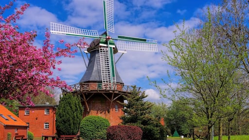 Leezdorf Windmuehle - windmill Leezdorf 01