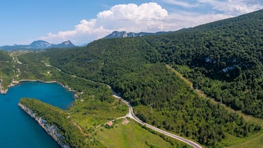 A coastal landscape with a winding road, dense forests, and a mountainous backdrop.