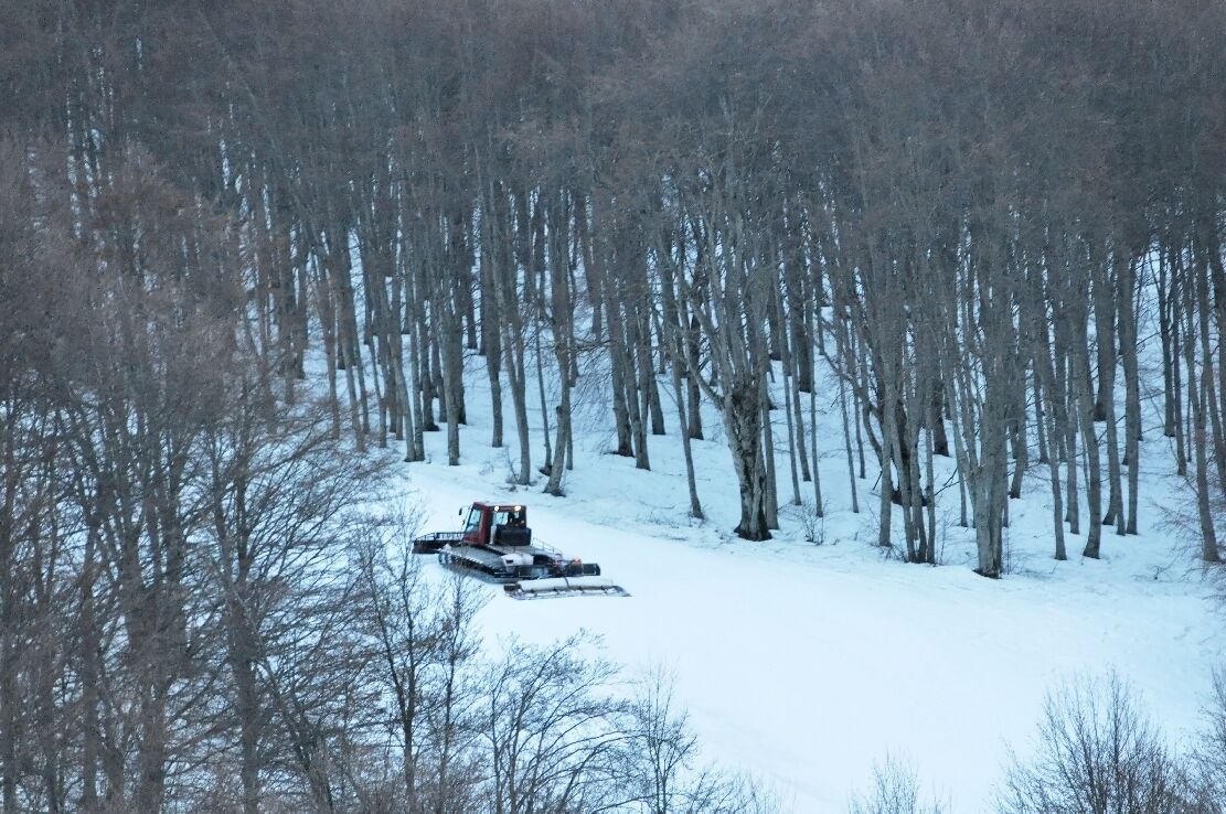 A snow-covered forest with a snowplow clearing a path.