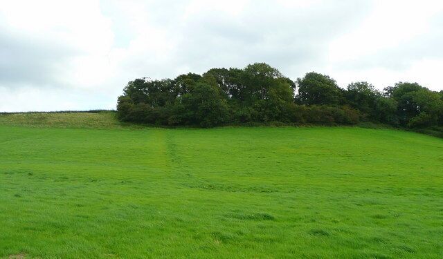North end of Pegwell Wood Viewed from Over Lane.