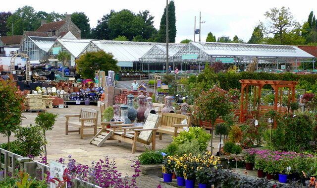 Plant area at Almondsbury Garden Centre 1 Looking north-west from the back of the shop towards the production glasshouses of the original nursery.