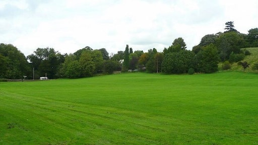 Green space in Almondsbury Land adjacent to the Garden Centre, with Over Lane in the distance.