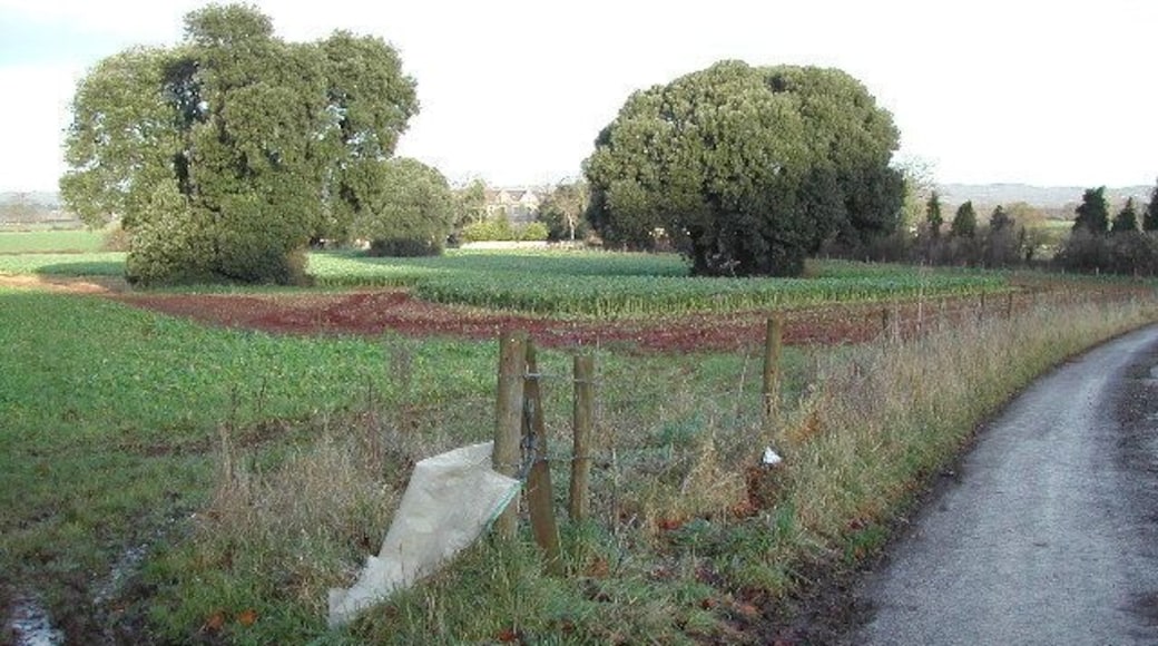 Borockley Court Home. Viewed from the A370 looking North along St. Nicholas Way
