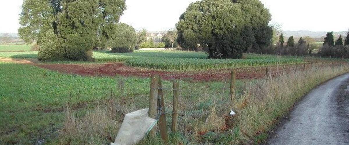 A rural road with a fence and trees.