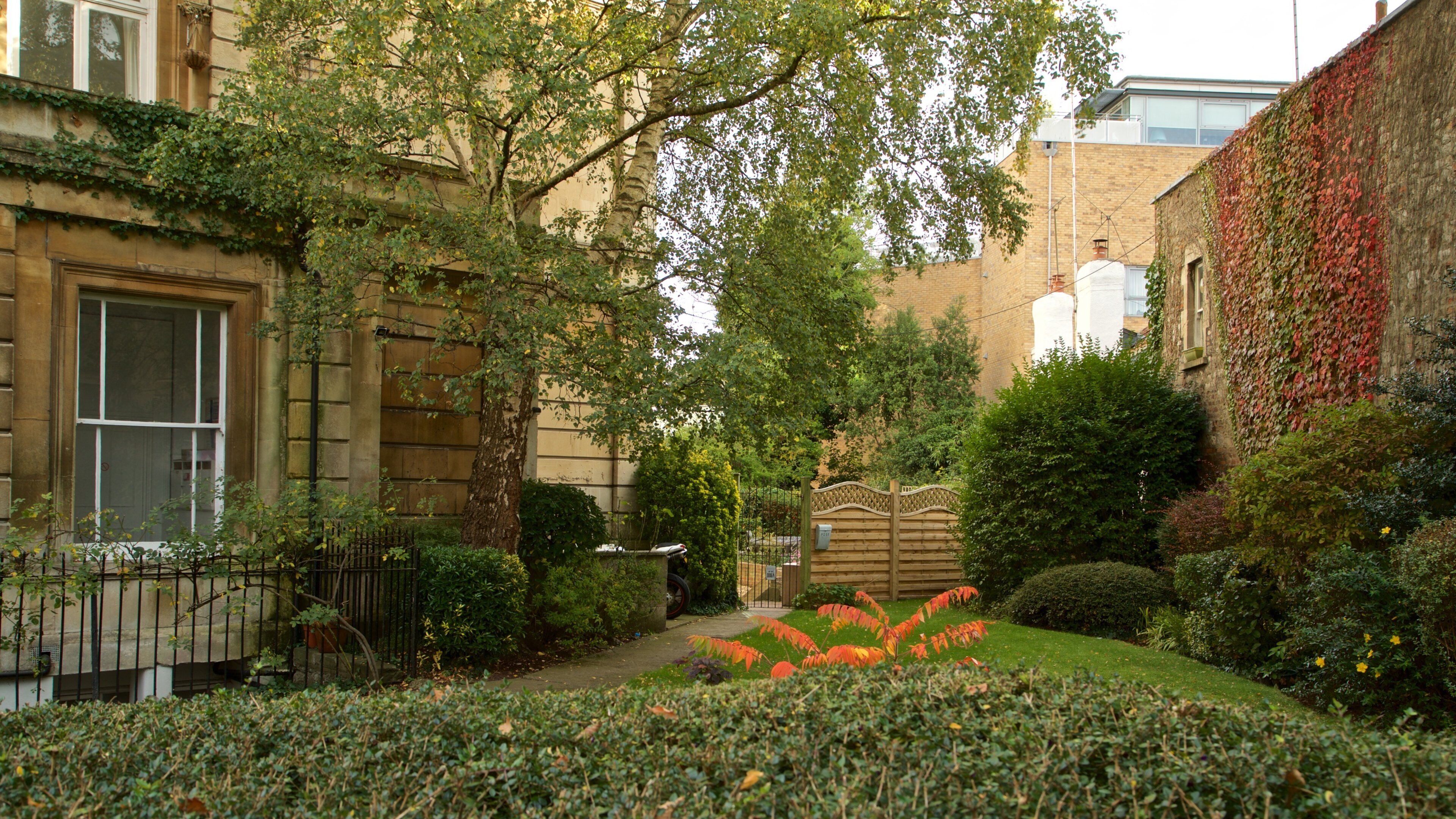Clifton showing a house and a park