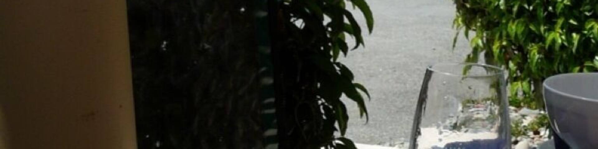 Great food and wine at Waimea Estates winery outside of Nelson, NZ