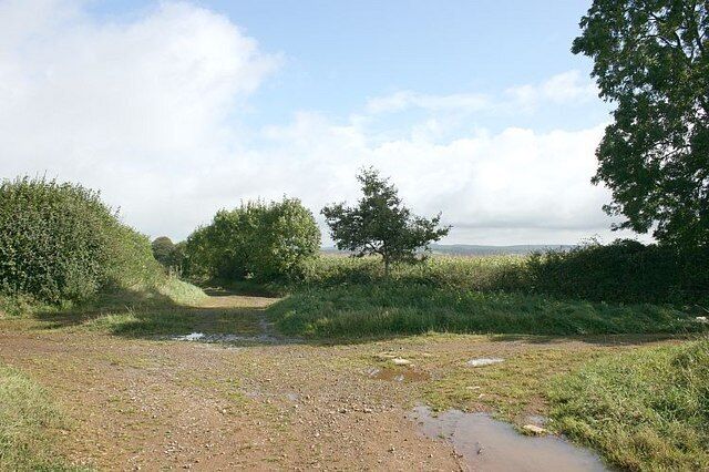 Stump Cross A crossroads of byways at the top of Pitcombe Hill looking pretty much as it would have 200 years ago. The fields would have had different crops, the hedgerows perhaps better kept and the road has probably made up a few times since then. These old tracks are good for walking with excellent views from here. A tough mountain bike with low gears and GOOD BRAKES would be useful. Also OS Explorer Map 142 as a guide.