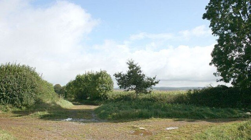 Stump Cross A crossroads of byways at the top of Pitcombe Hill looking pretty much as it would have 200 years ago. The fields would have had different crops, the hedgerows perhaps better kept and the road has probably made up a few times since then. These old tracks are good for walking with excellent views from here. A tough mountain bike with low gears and GOOD BRAKES would be useful. Also OS Explorer Map 142 as a guide.
