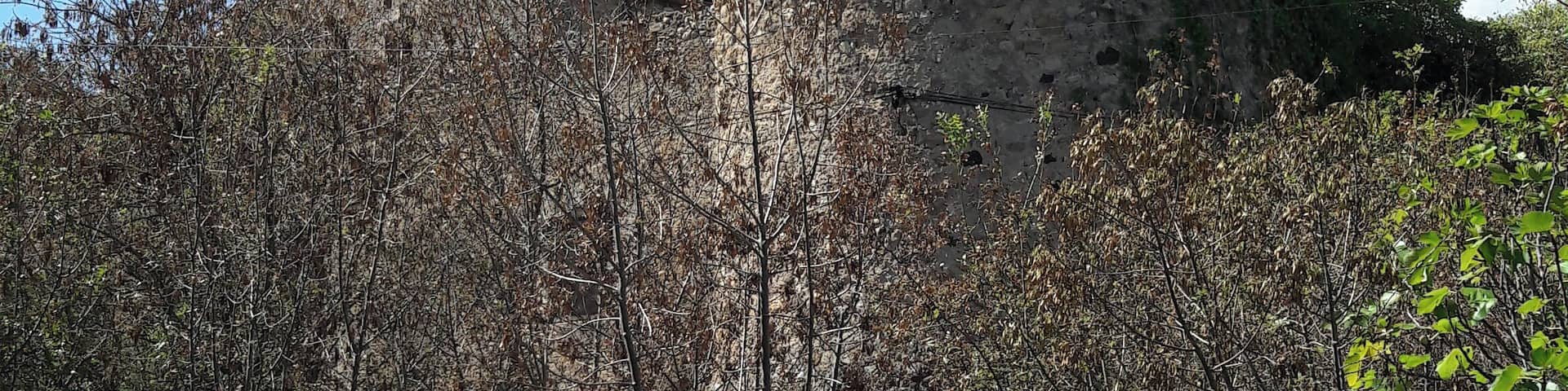 Castell de Bàscara (Bàscara)