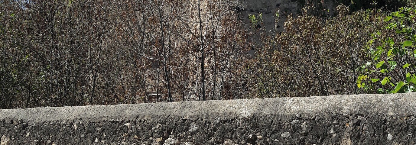 Castell de Bàscara (Bàscara)