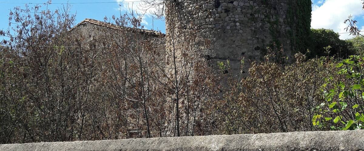 A stone wall and a circular stone tower with vegetation around it.