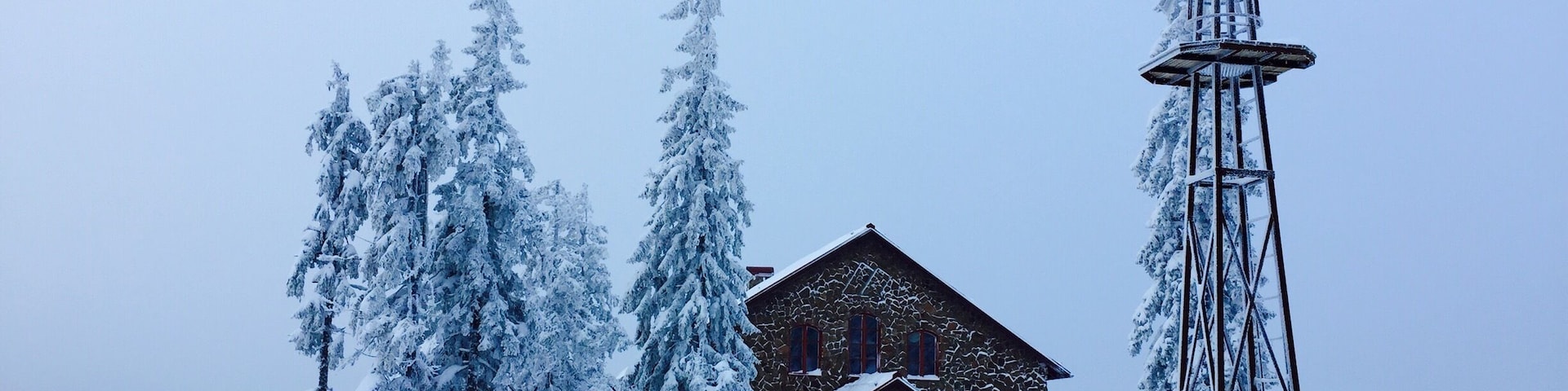 A wooden cabin surrounded by snow-covered trees and a windmill.