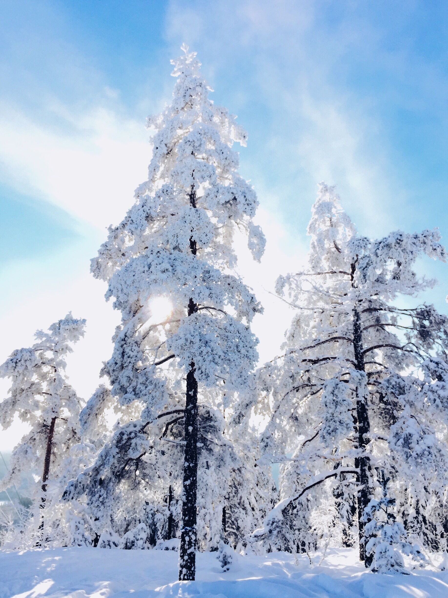 Borlänge Municipality