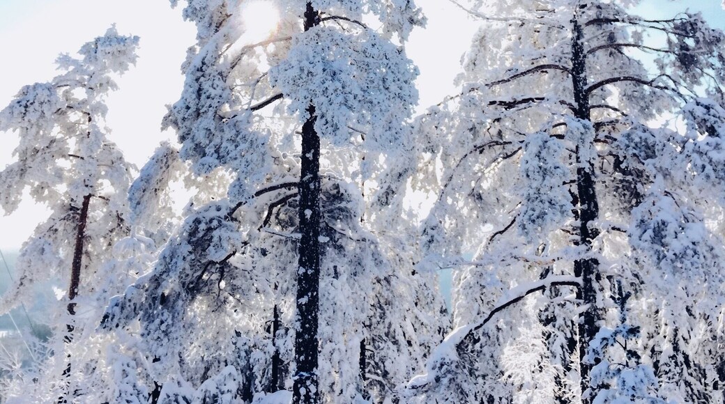 Borlänge Municipality