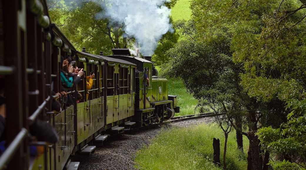 Locomotora de vapor Puffing Billy