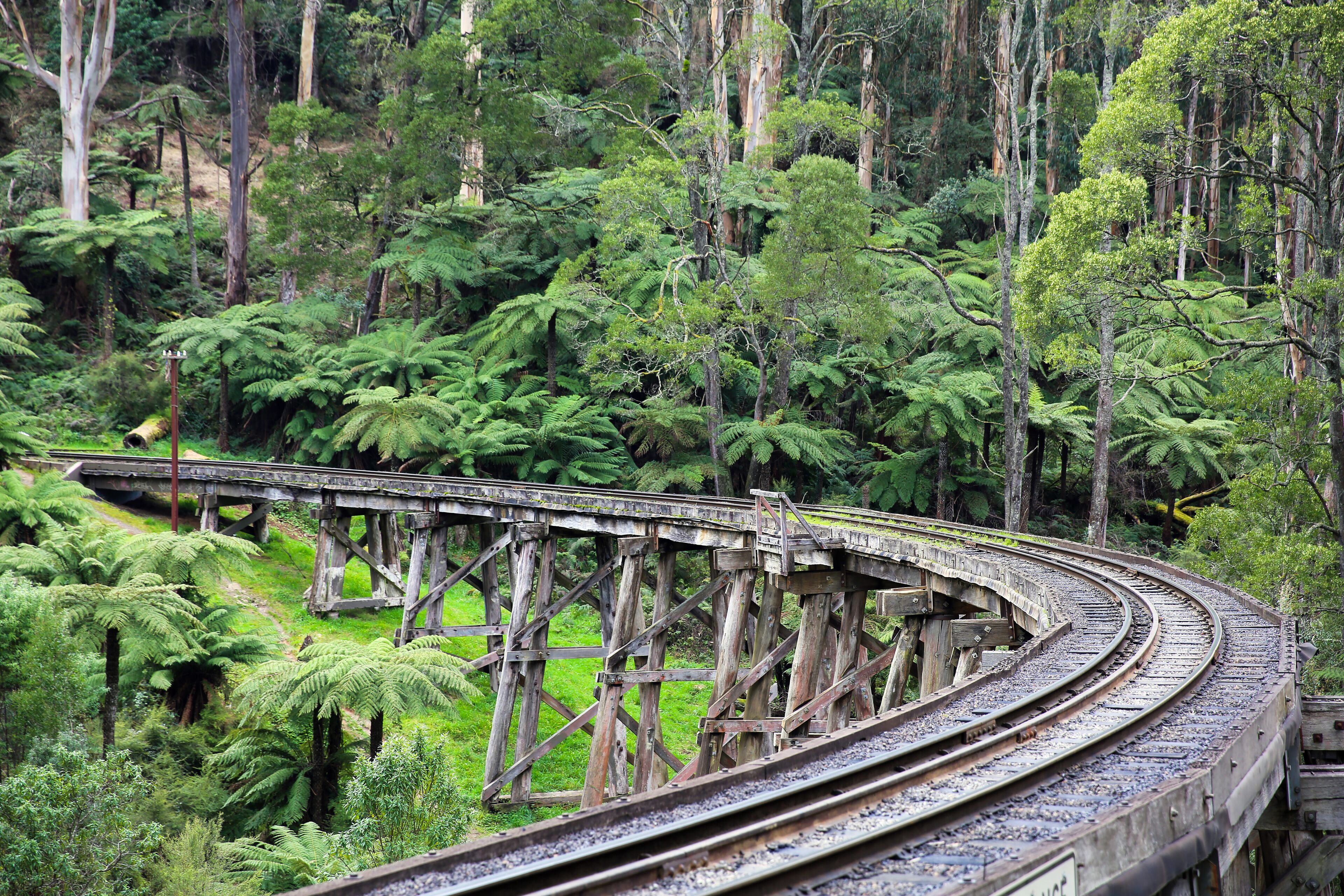 Eine Eisenbahnlinie schlängelt sich durch einen dichten Wald, einschließlich einer hölzernen Brücke.