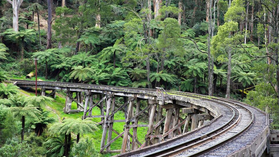 Eine Eisenbahnlinie schlängelt sich durch einen dichten Wald, einschließlich einer hölzernen Brücke.