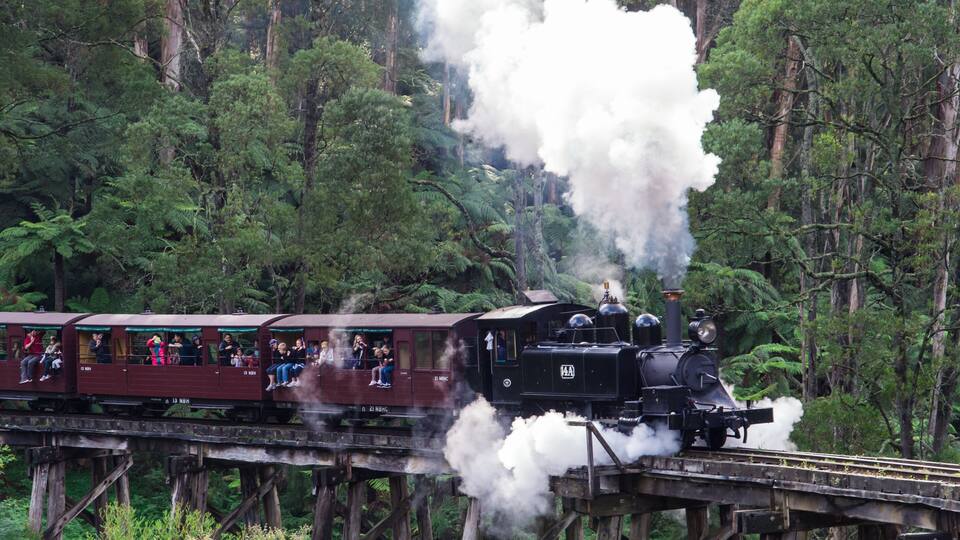 Eine Dampflokomotive auf einer Holzbrücke durch einen dichten Wald.