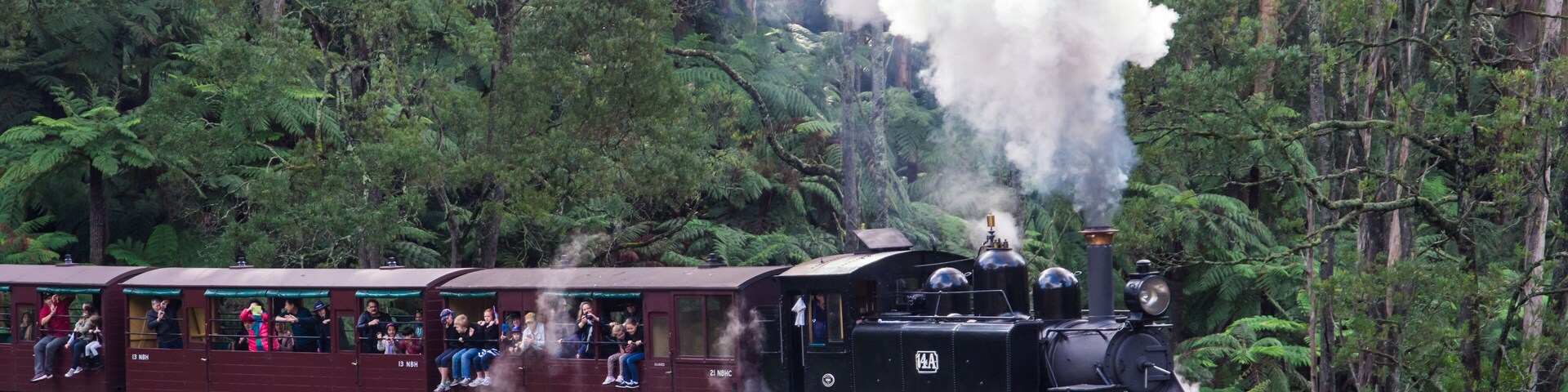 Un tren de vapor sobre un puente de madera a través de un bosque denso.