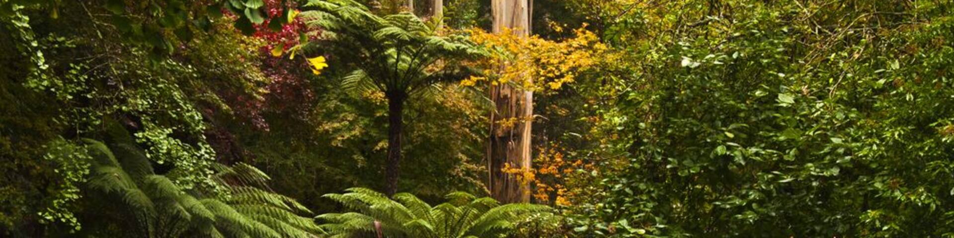 The well known and photographed 'Lake House' in the Alfred Nicholas Memorial Gardens in the Dandenong Ranges; Shutterstock ID 383914597; PO: Hcom Destination Content neighborhoods; Client: Hotels.com;