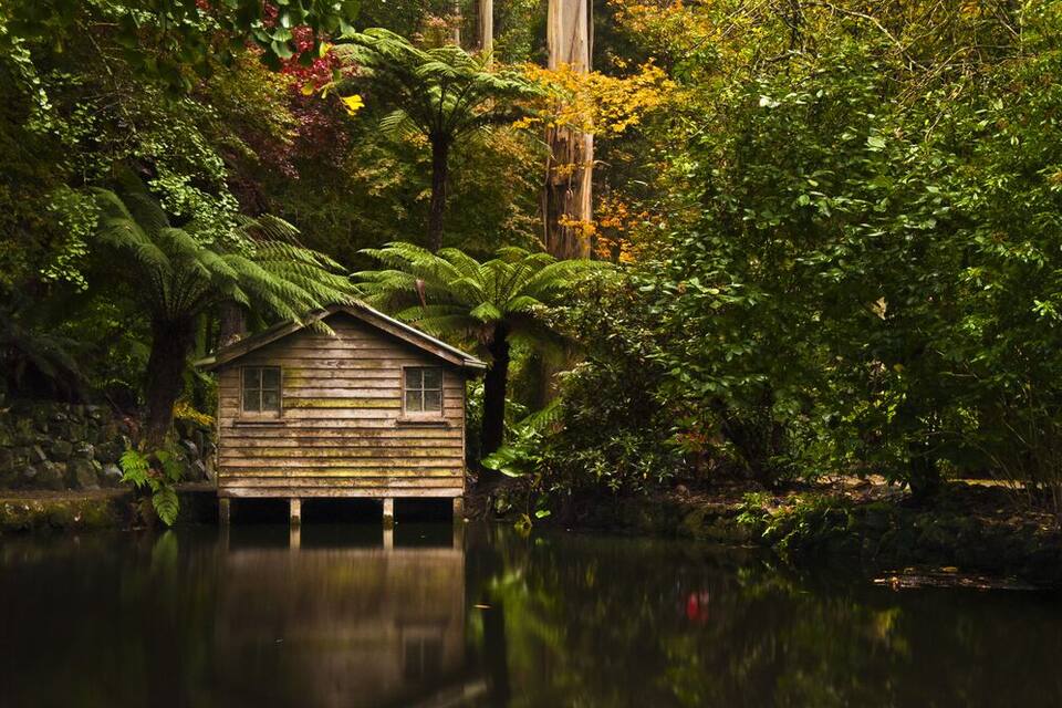 En stuga av trä, byggd på pålar, omgiven av tät skog och en stilla sjö.