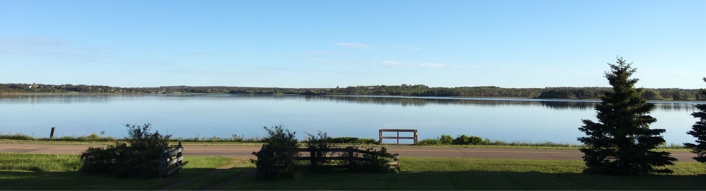 View from the patio. Nice evening 
