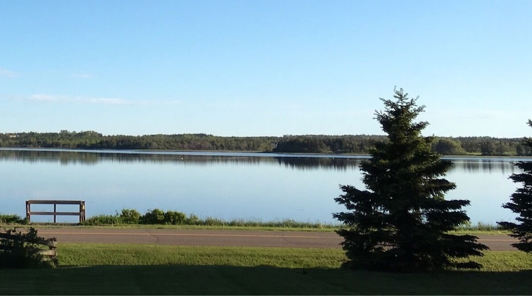 View from the patio. Nice evening