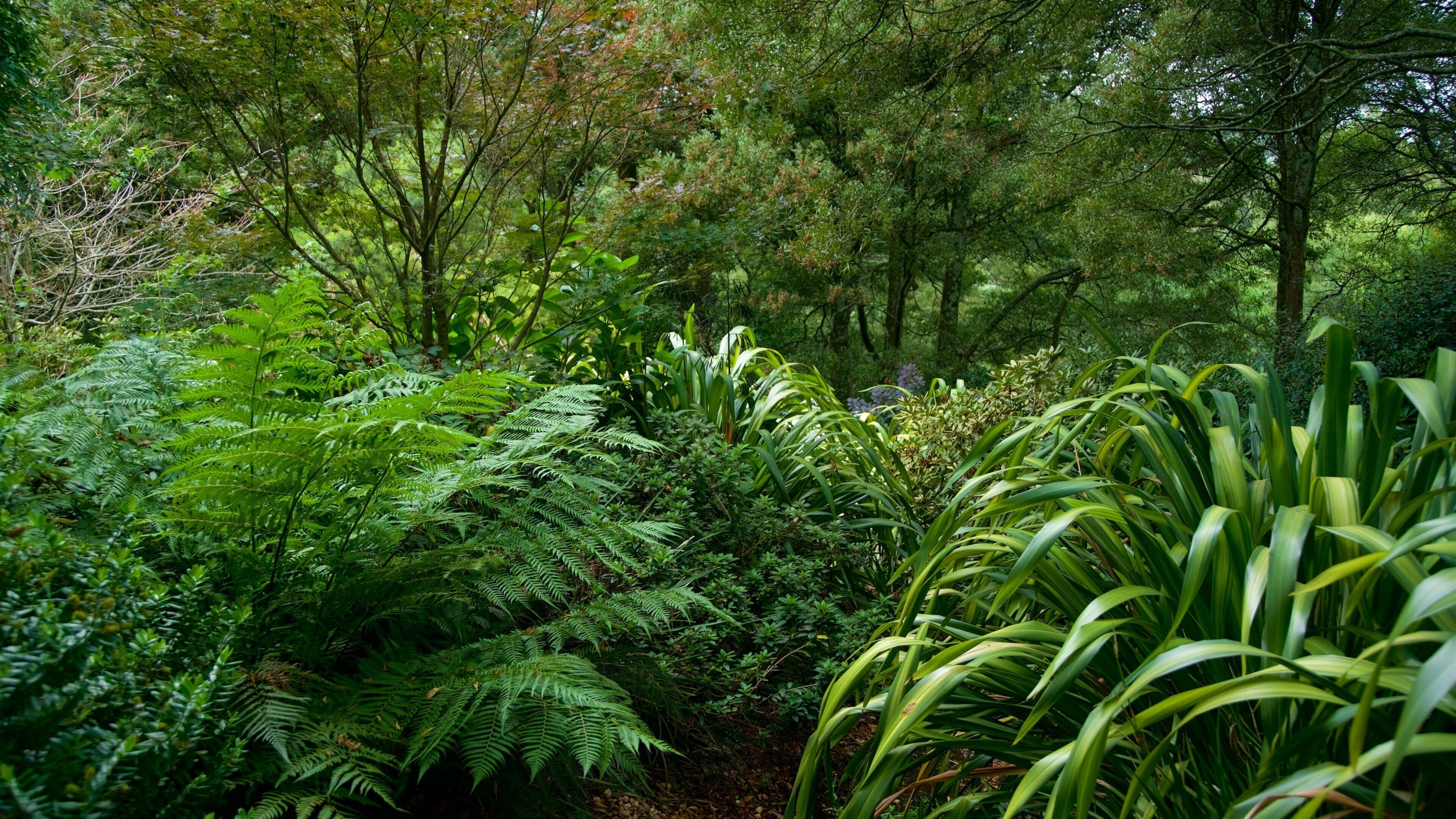 SkyHigh Mount Dandenong