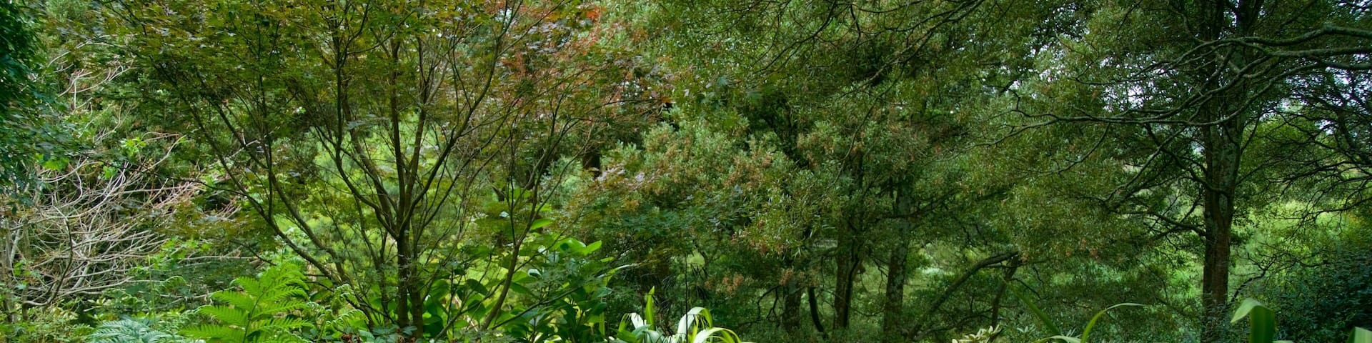 SkyHigh Mount Dandenong