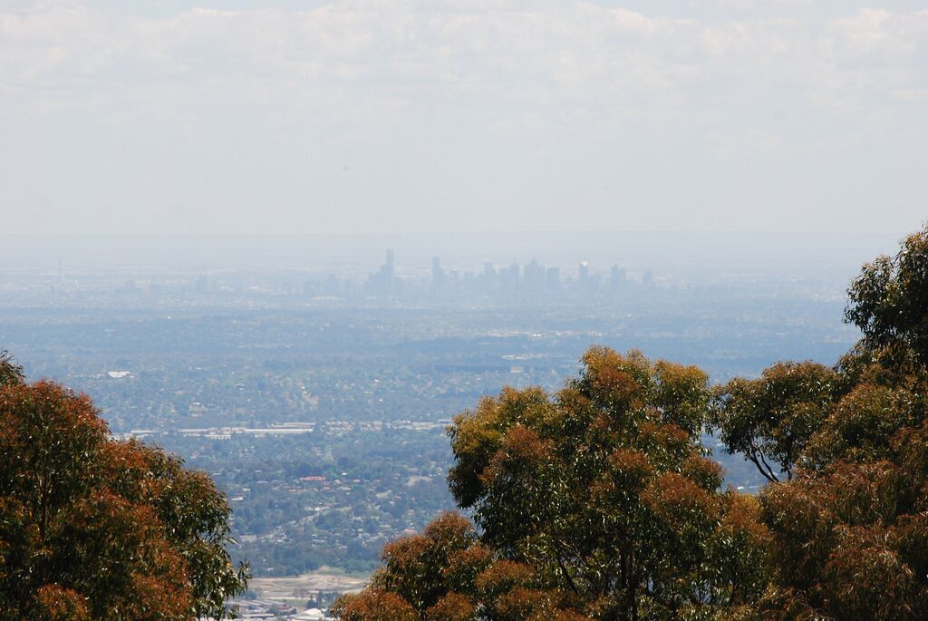 The view of Melbourne from Skyhigh. It has a restaurant and beautiful garden area #localgem