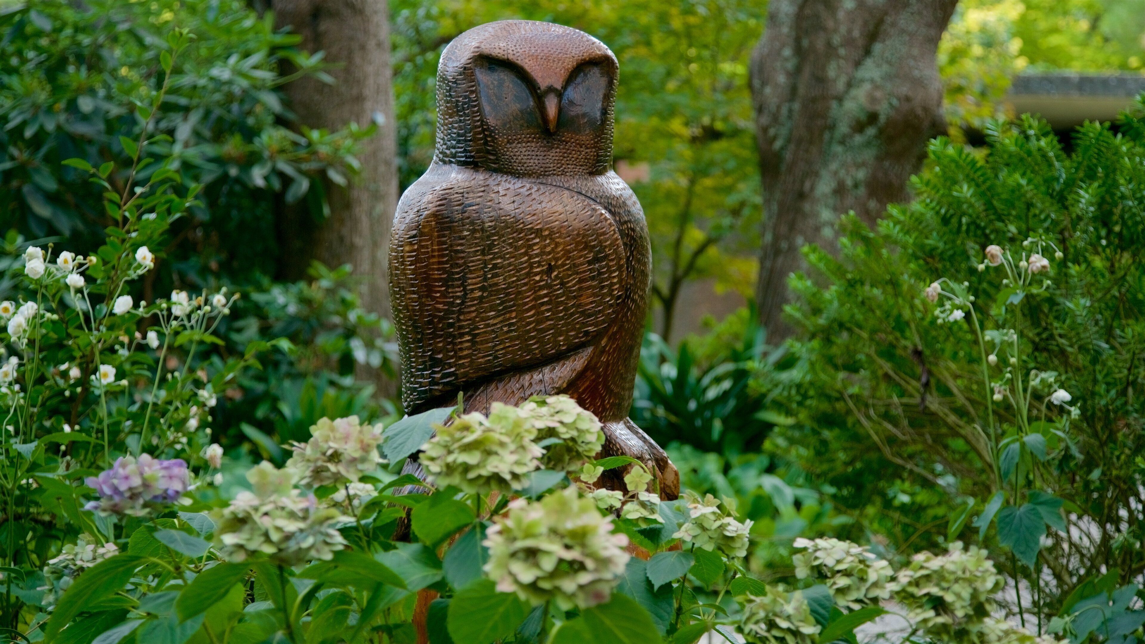 SkyHigh Mount Dandenong