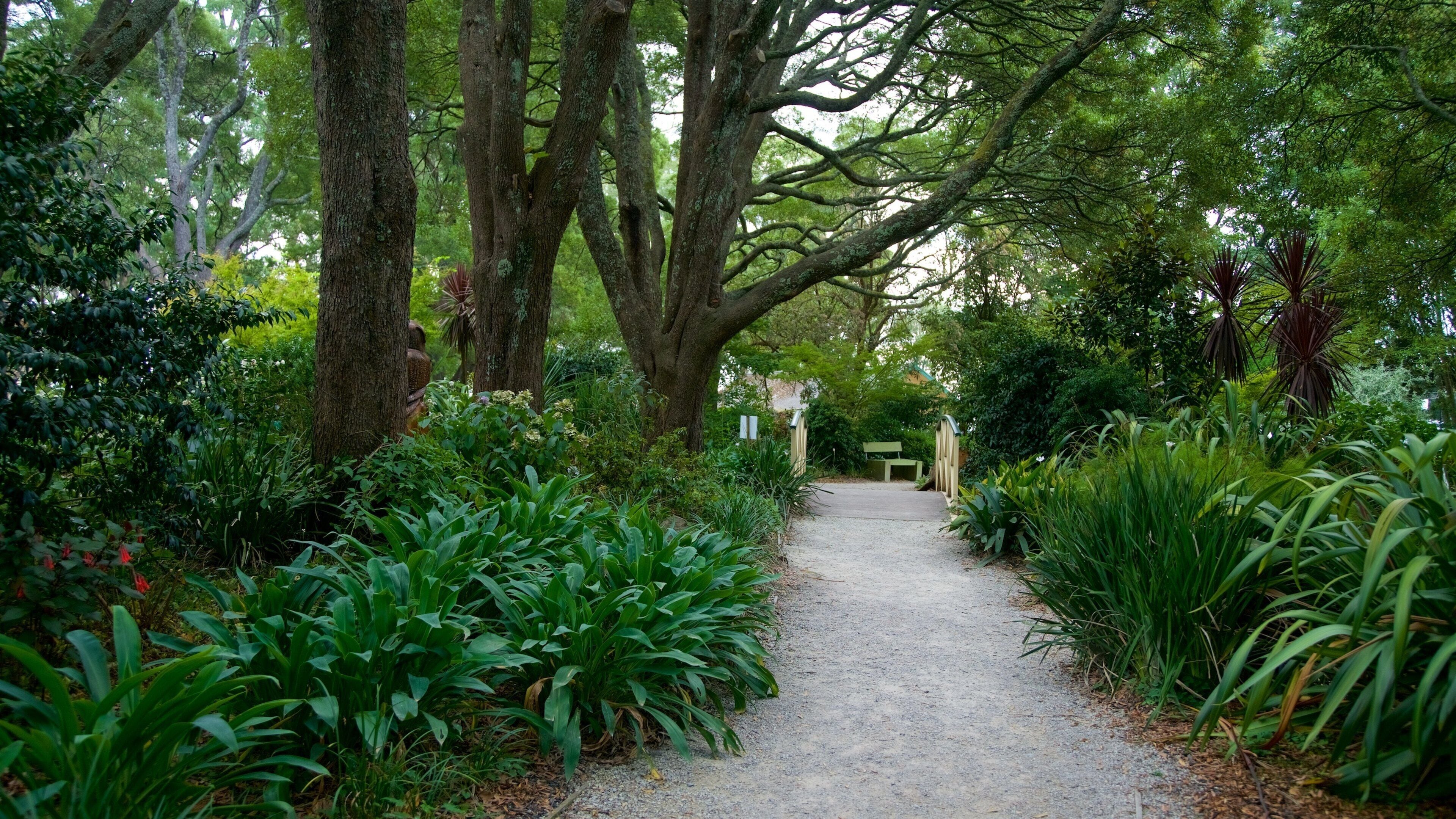 SkyHigh Mount Dandenong featuring a park