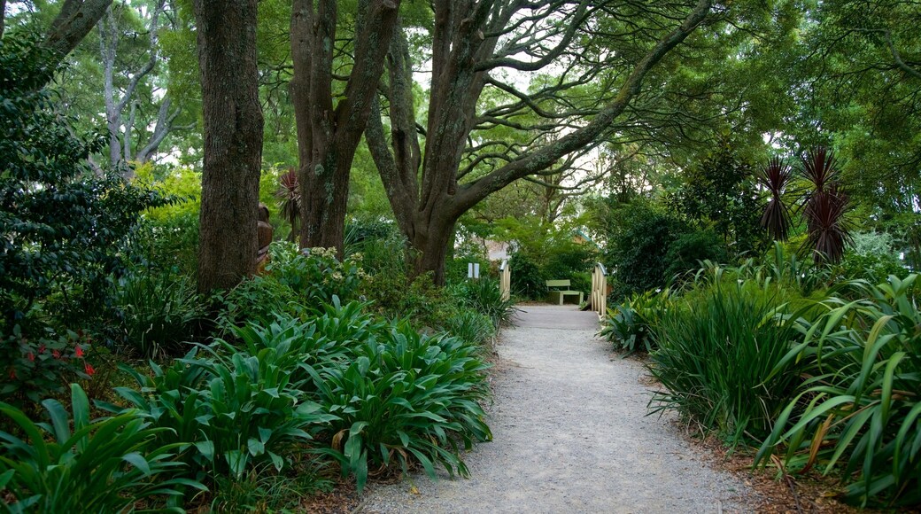 SkyHigh Mount Dandenong featuring a park