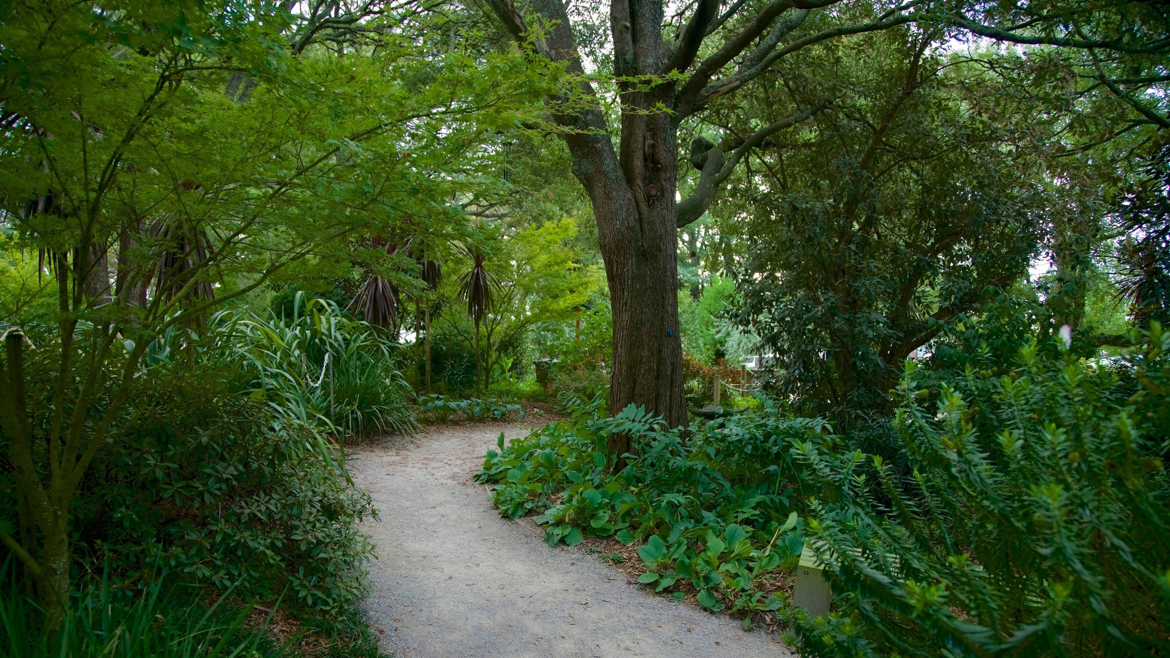 SkyHigh Mount Dandenong