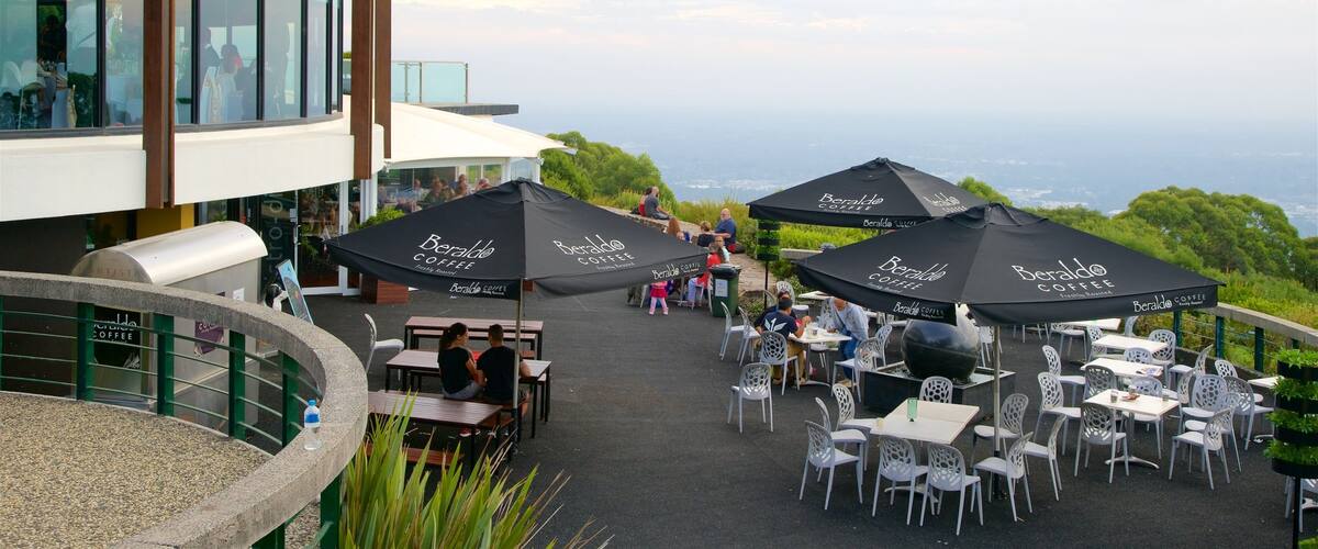 SkyHigh Mount Dandenong featuring café scenes and outdoor eating