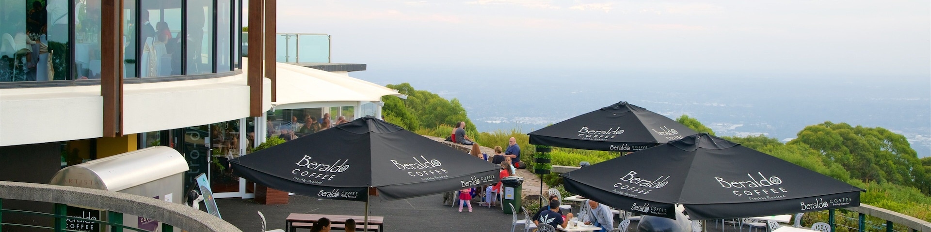 SkyHigh Mount Dandenong showing outdoor eating and cafe lifestyle