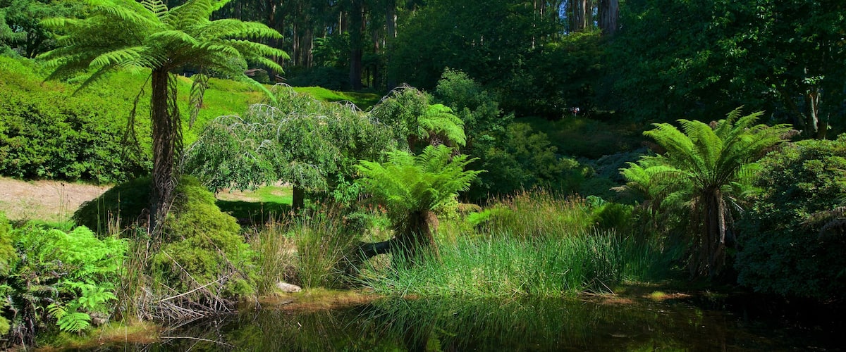 National Rhododendron Gardens qui includes jardin