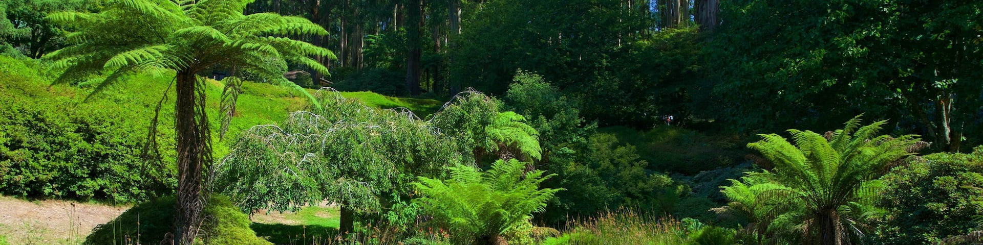 National Rhododendron Gardens qui includes jardin