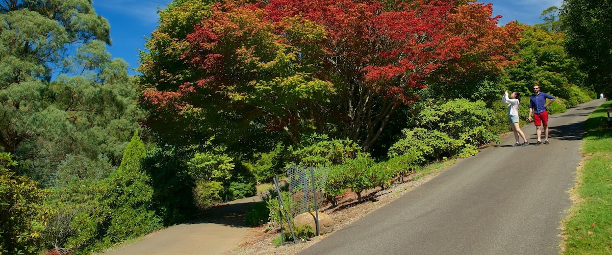 National Rhododendron Gardens featuring hiking or walking as well as a couple