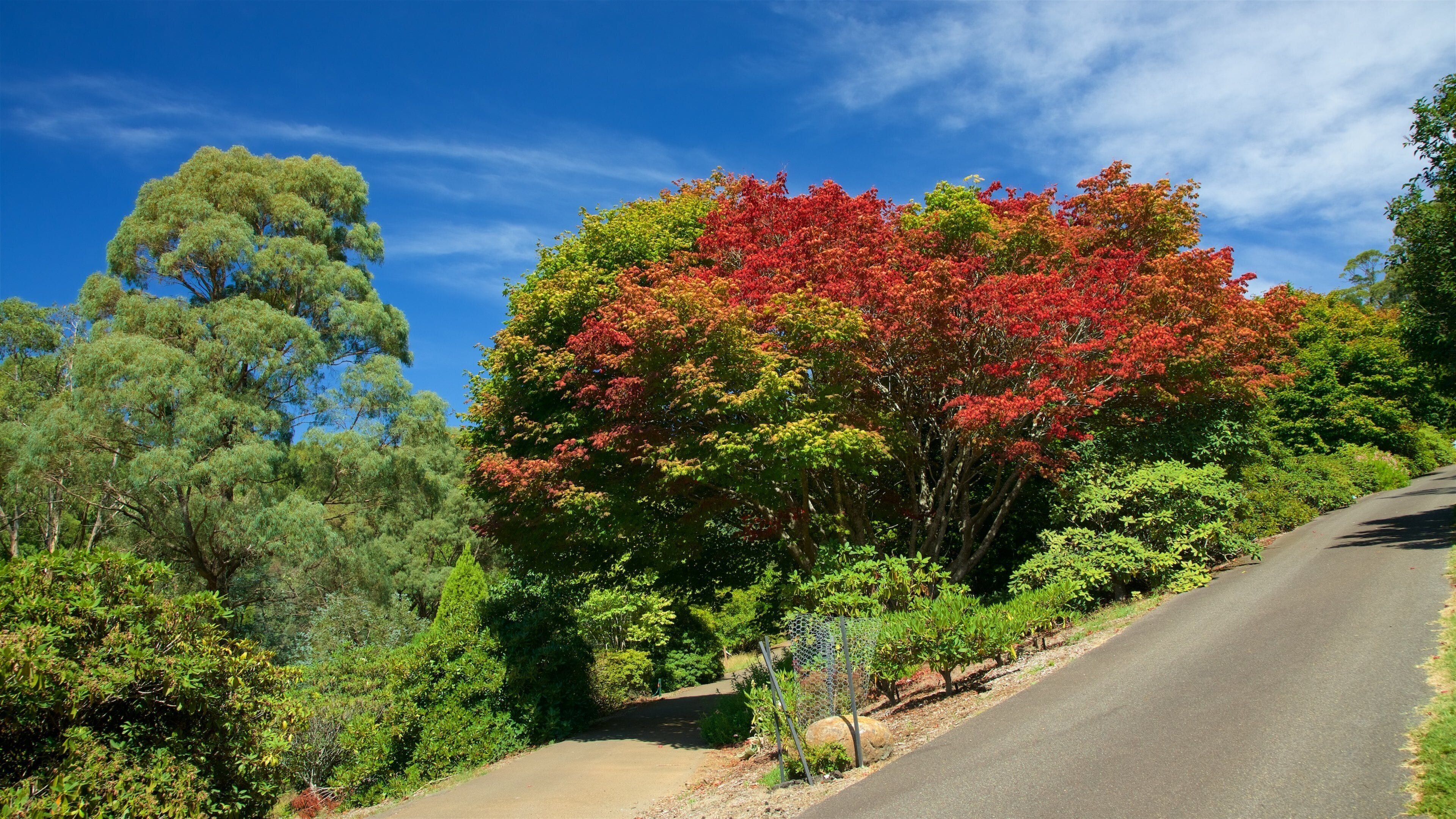 National Rhododendron Gardens Tours - Book Now | Expedia