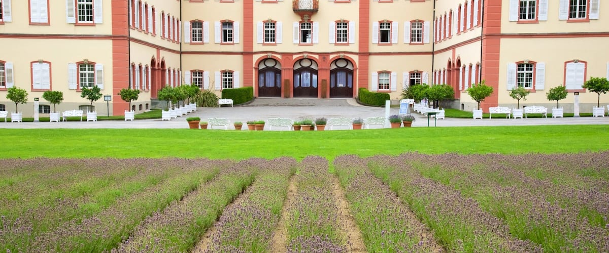 Île de Mainau