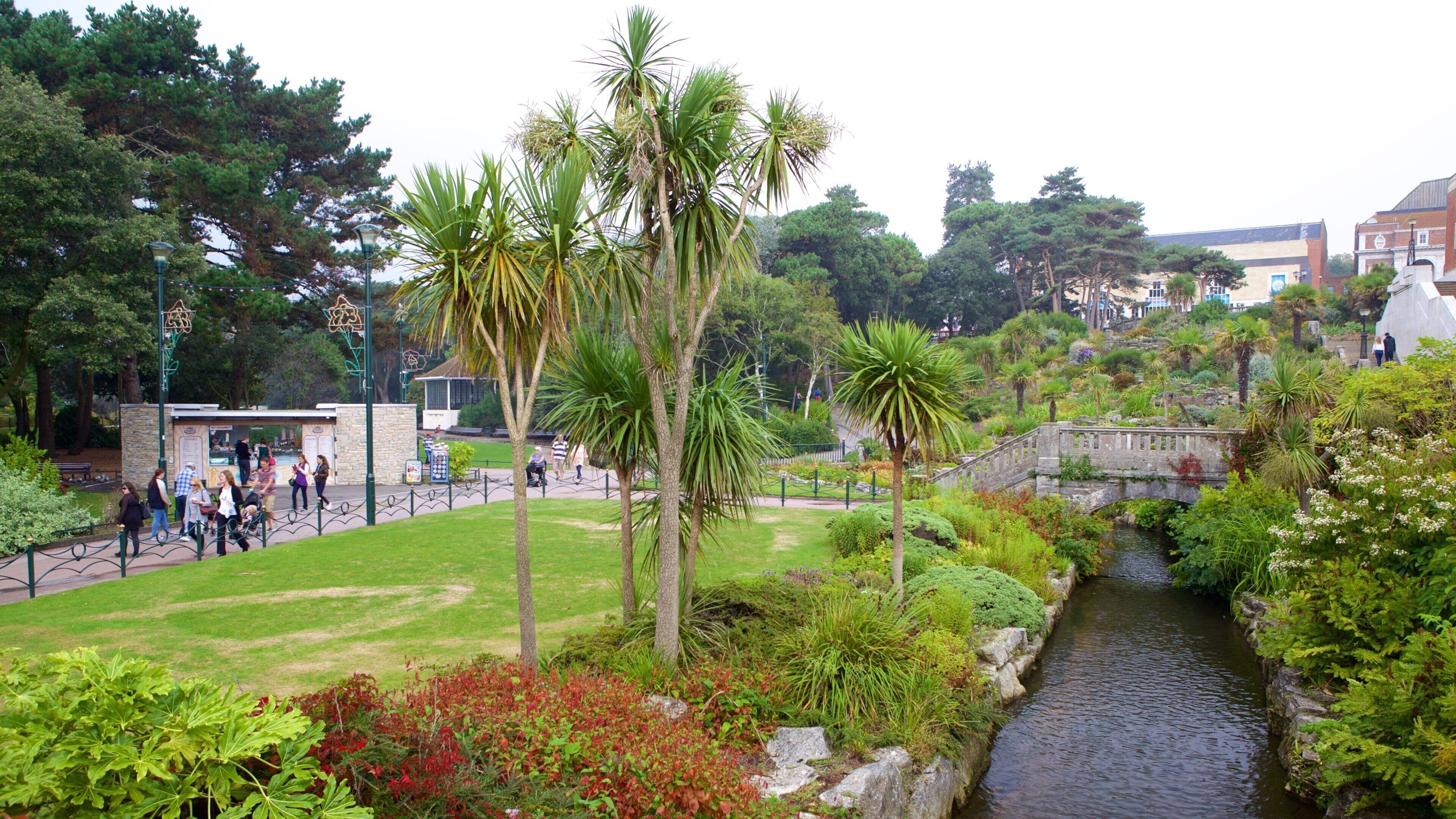 Bournemouth Lower Gardens showing a bridge, a river or creek and a garden