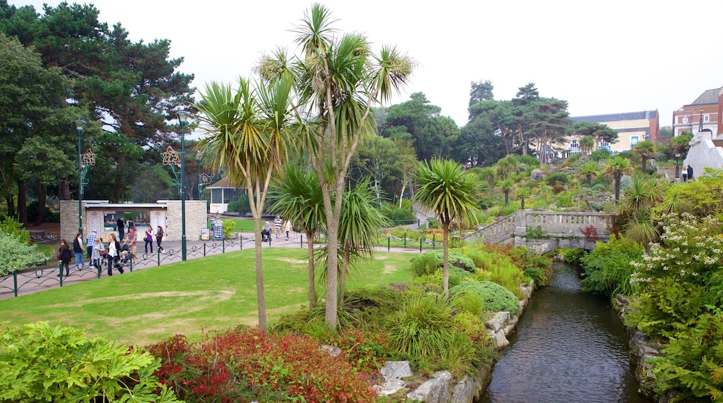 Bournemouth Lower Gardens bevat een rivier of beek, een park en een brug