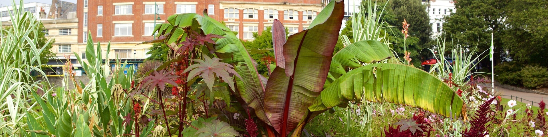 Bournemouth Lower Gardens featuring a garden