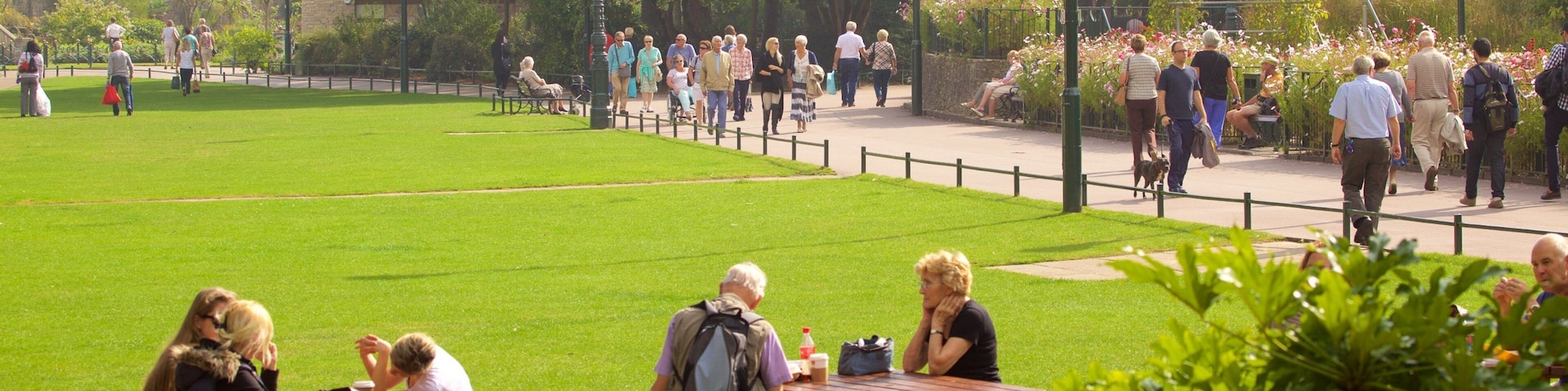Bournemouth Lower Gardens which includes a park and hiking or walking as well as a couple