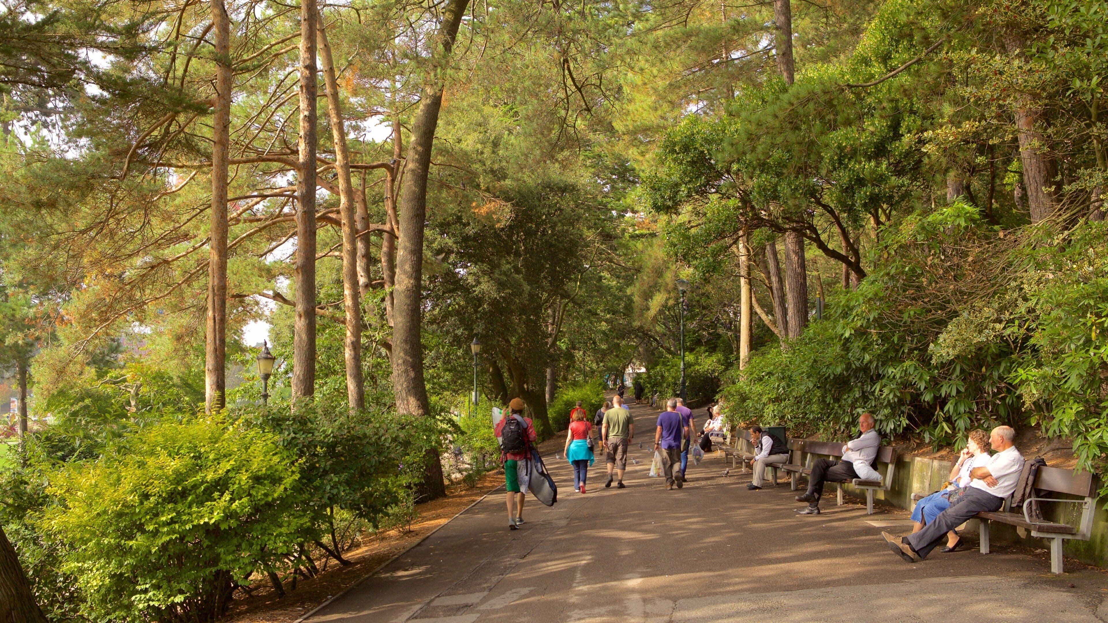 Bournemouth Lower Gardens showing hiking or walking, forests and a park