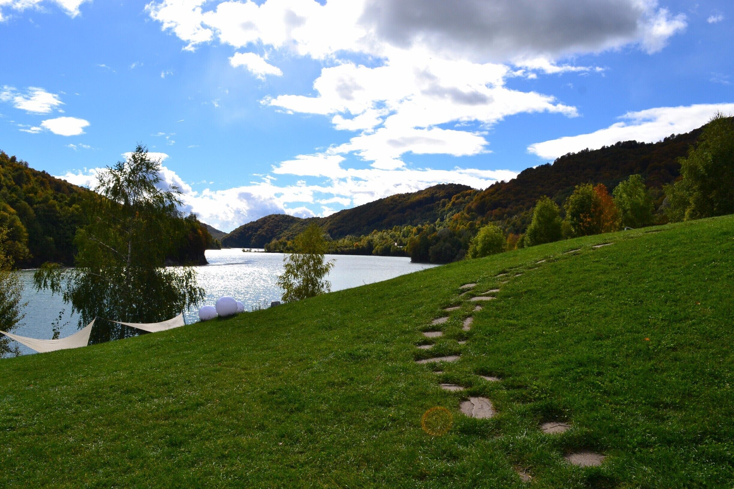A grassy hillside with a lake and a forested mountain in the background.